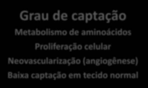 Perspectivas Futuras Metabolismo de aminoácidos ( F-FDOPA / F-FET / 11 C-MET)