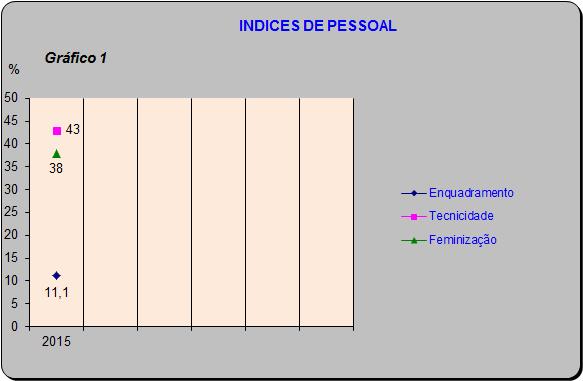 Direção-Geral de Recursos da Defesa Nacional BALANÇO SOCIAL 2015 As taxas de pessoal com origem na distribuição dos efetivos segundo a modalidade de vinculação apresenta-se da seguinte forma: