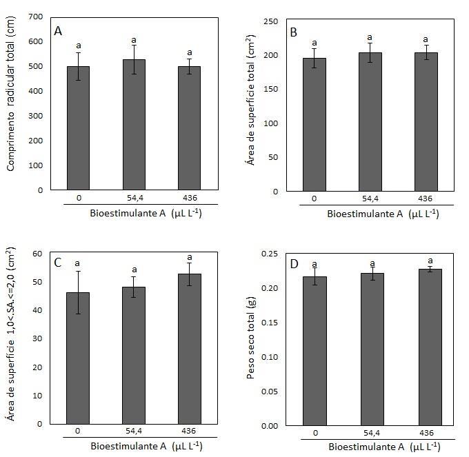 43 Figura 10. Características radiculares e peso seco total de plântulas de milho após três dias de tratamento com duas doses do bioestimulante A e controle negativo durante três dias de tratamento.