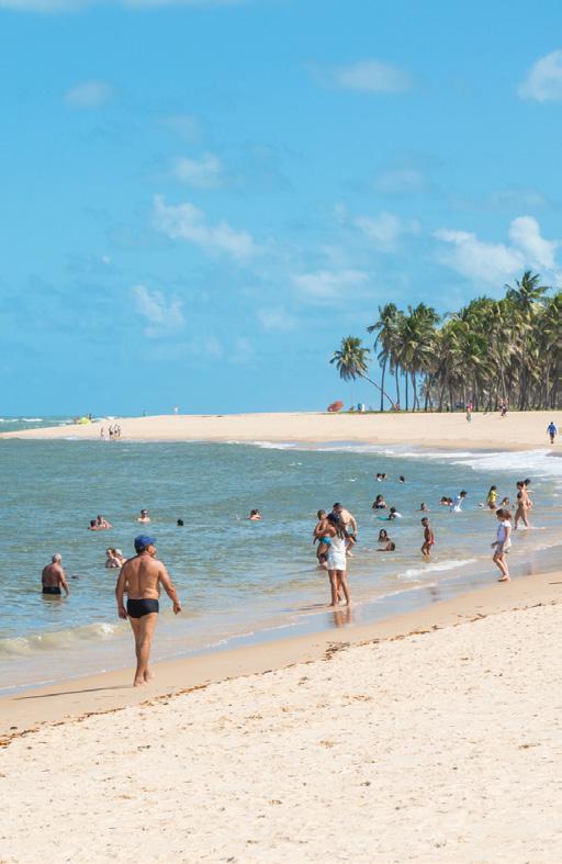 4 Maceió, sexta-feira, 22 de dezembro de 2017 FIM DE ANO Ocupação hoteleira média em Alagoas chega a 87% para o Réveillon Em regiões como a Costa dos Corais e o Alto Sertão, número supera a marca de