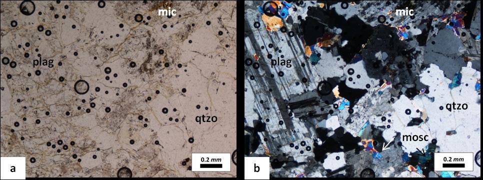Microfoto 4 - Vista geral de aplito (qtzo-quartzo, mic-microclina, plag-plagioclase, mosc-moscovite). À esquerda: nicois paralelos. À direita: nicois cruzados. 4.1.