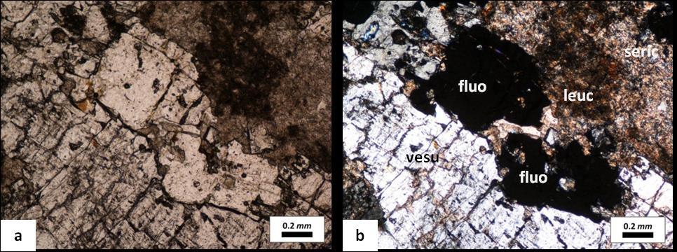 plagioclase muito sericitizada (Microfoto 15), fluorite, quartzo, calcite, clinopiroxena cálcica, clinozoisite e scheelite.