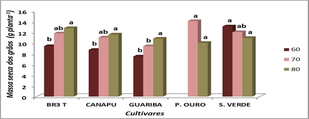 Figura 4. Massa seca dos grãos em cinco cultivares de feijão-caupi (Vigna unguiculata L. Walp.