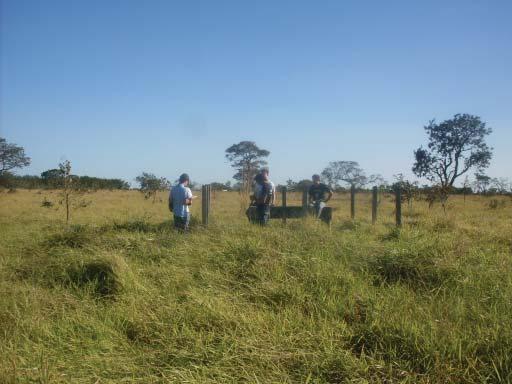 Tabela 1: coordenadas obtidas com os aparelhos GPS Aparelho Latitude Longitude 1 19º 45 41,5 48º 06 04.06 2 19º 45 41,5 48º 06 04.07 3 19º 45 41,5 48º 06 04.06 4 19º 45 41,6 48º 06 04.