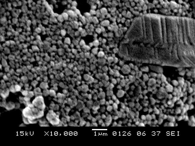 Tamanho médio de grão de 5,62 µm. 2000X.