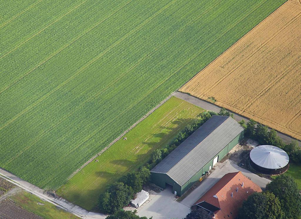 SEMENTEIRA SMART Cada campo é diferente; as condições do solo variam. Estas diferenças podem afetar o comportamento dos nossos híbridos.