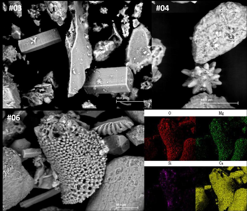 111 Figura 6 18. Imagens obtidas por Microscopia eletrônica de varredura (MEV), (BSEimagem) nos sedimentos na plataforma continental do Ceará.