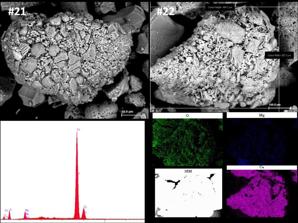 112 Figura 6 19. Imagens obtidas por Microscopia eletrônica de varredura (MEV), (BSEimagem) nos sedimentos na plataforma continental do Ceará.