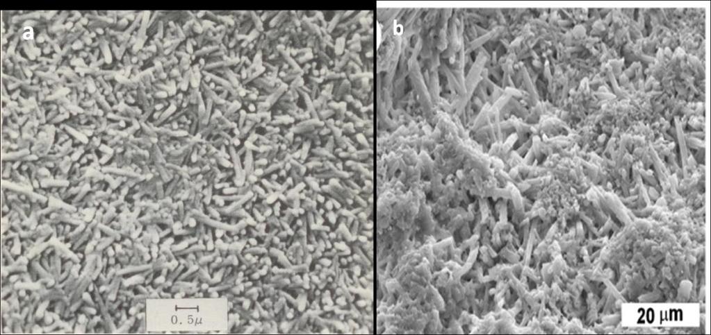 120 Figura 6 25. Imagens obtidas por Microscopia eletrônica de varredura (MEV).