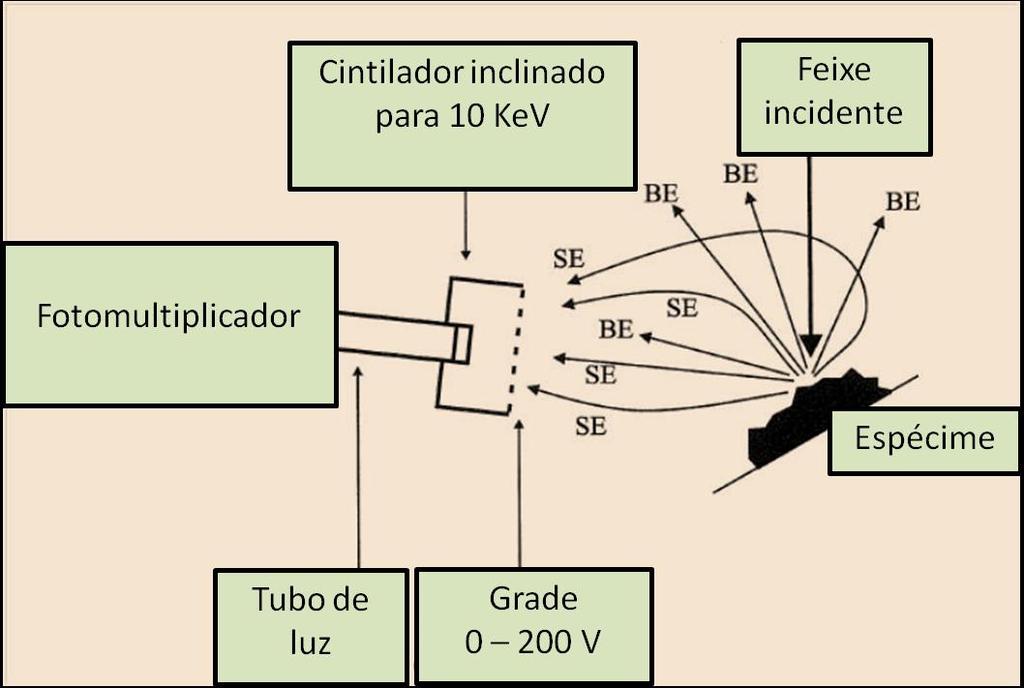 60 do detector. Dentro do detector os elétrons são acelerados até 10 kv para um guia de luz de quartzo coberto com material cintilador.