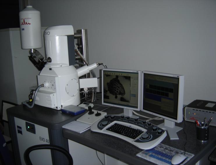 87 Os dados morfológicos e a microanálise de raios X foram obtidos em Microscópio Eletrônico de Varredura Zeiss Xvp Evo 40 (Carl Zeiss SMT AG) acoplado a espectrômetro de energia dispersiva Ixrf
