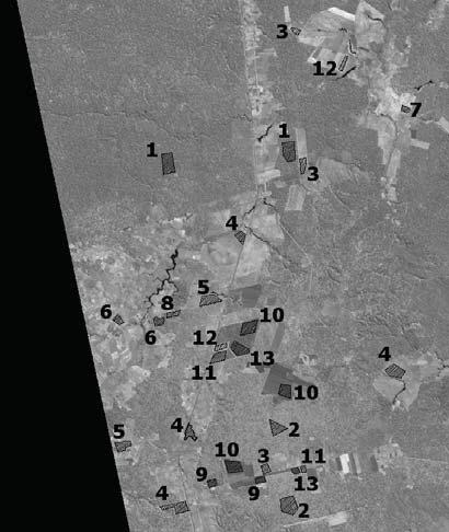 Fg. 5: Imagem LANDSAT-5 TM, banda 4, e amostras de cobertura da terra. Os índces lustrados relaconam as amostras com os tpos de cobertura da terra menconados na Tabela 1. (a (b Fg.