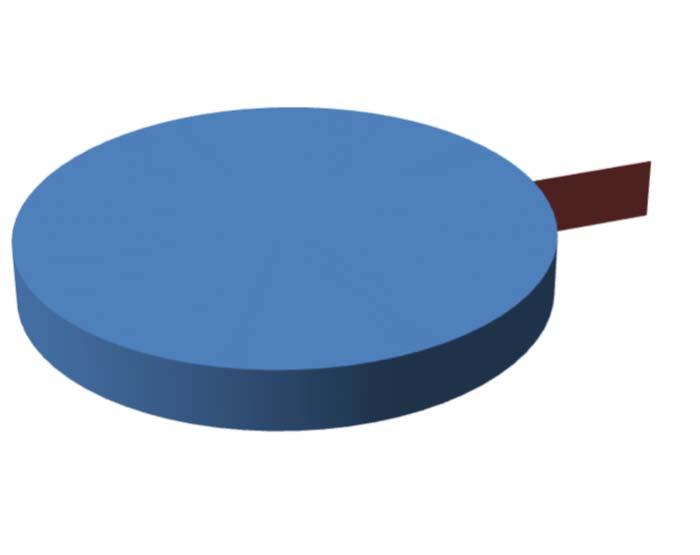 DISTRIBUIÇÃO DA CARTEIRA DE INVESTIMENTO / SEGMENTO SEGMENTO VALOR APLICADO (em R$) Percentual sobre Patrimônio Líquido RENDA FIXA 19.178.