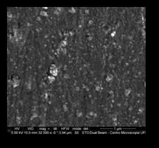 a b Fonte: CM-UFMG Figura 2. (a) Microscopia da superfície (parte não rompida) amostra AISI 409 condensado.
