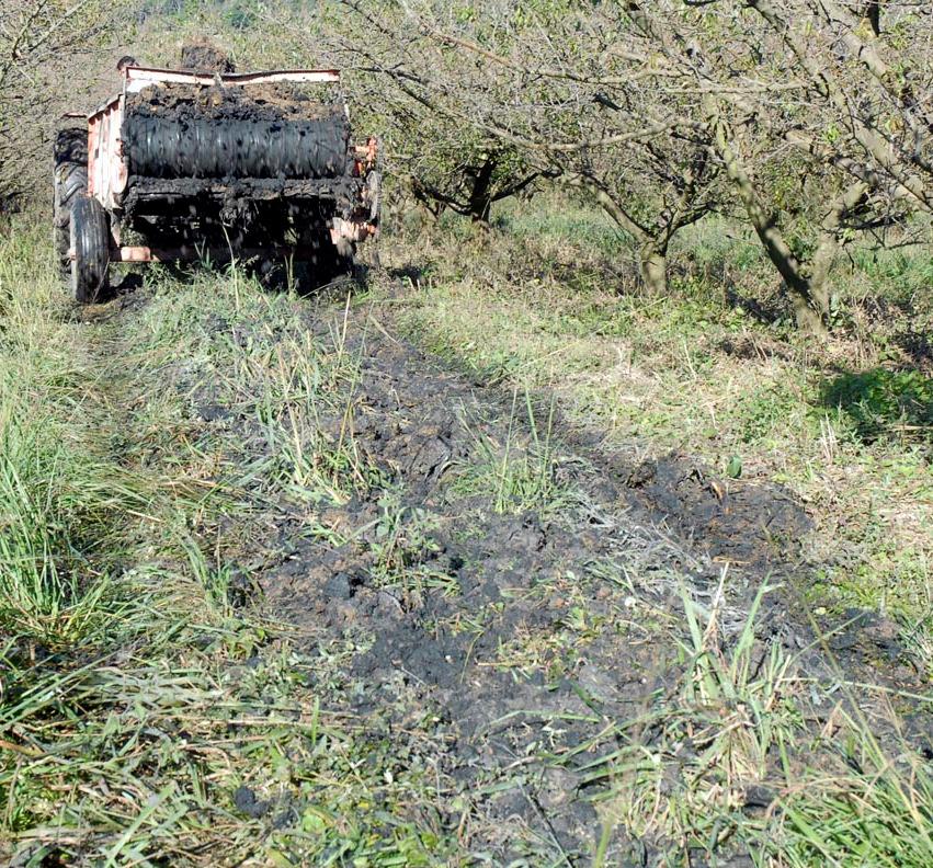 A Sanepar opera 234 Estações de Tratamento de Esgoto (ETEs) no Paraná, atendendo mais de 7 milhões de pessoas com coleta e tratamento de esgoto.