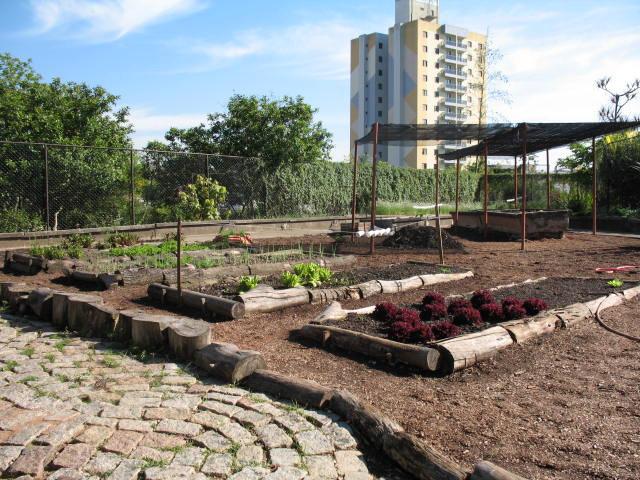 Fotografia 07 Vista geral da Horta 4.3 Coleta dos insetos As coletas foram feitas de março de 2004 até dezembro de 2005.