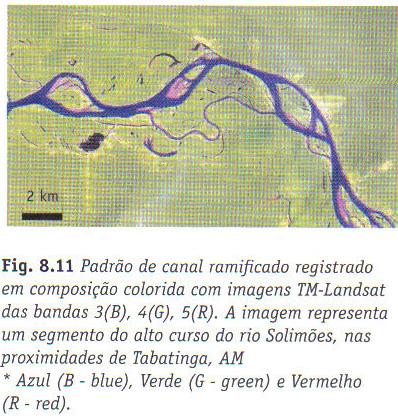 Os rios com padrão anastomosado apresentam canais múltiplos, interconectados, nos quais as obstruções topográficas são formadas por