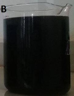 100 ml de NaOH 0,1 mol L -1 ), e agitados durante 1 h. Após, procedeu-se a filtração e a secagem até massa constante.