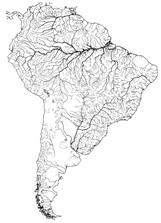 no sistema do alto rio Paraguai: córrego
