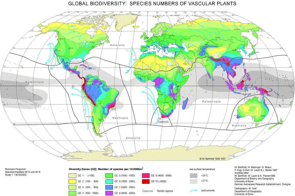 Biodiversidade 9 A importância da Biodiversidade!