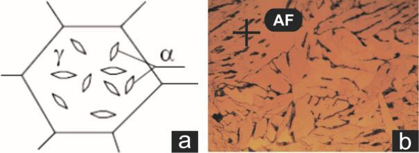 31 Figura 12 (a) Desenho esquemático da ferrita poligonal intragranular e em (b) micrografia identificado a PF(I) em uma junta soldada.