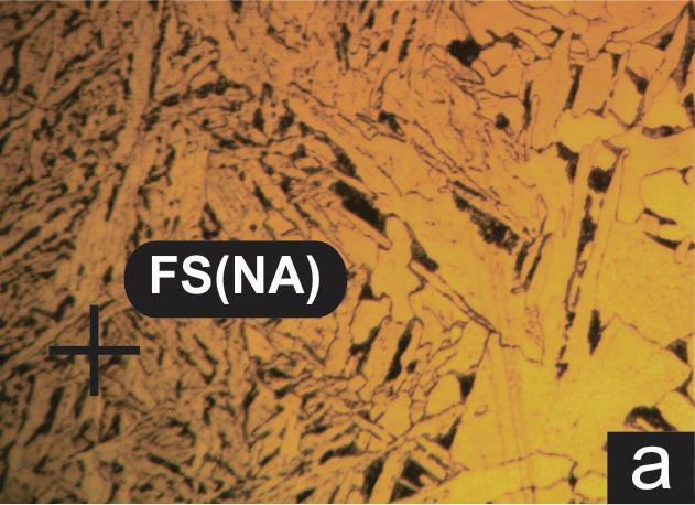 Ferrita com Segunda Fase Não Alinhada - FS(NA): formada por ferrita circundando microconstituintes ou ripas de ferrita acicular. Não se apresenta em forma paralela como a FS(A).
