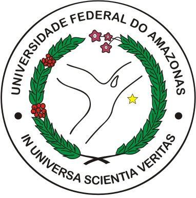 Universidade Federal do Amazonas Departamento de Física - ICE