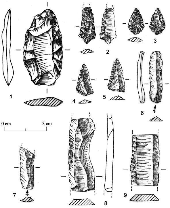 Fig. 6 Artefactos de pedra lascada: 1 lâmina foliácea; 2 e 3 pontas de seta; 4 e 5 geométricos; 6 e 7 lamelas; 8 e 9 lâminas (desenhos de F. Martins). Fig.