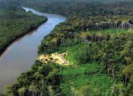 O Planalto das Guianas: um rico patrimônio ambiental e sociocultural O Planalto das Guianas é uma