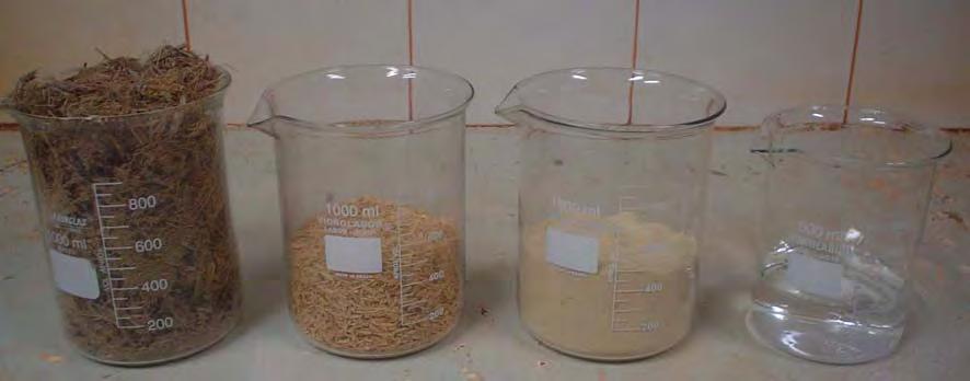 16 Figura 3. Constituintes do substrato utilizado para produção do inóculo dos fungos nematófagos utilizados no teste a campo: bagaço de cana, casca de arroz, farelo de arroz e água. Jaboticabal - SP.