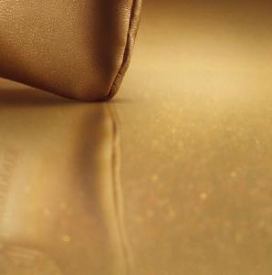 Eudora Clutch Luxo Dourado 4.
