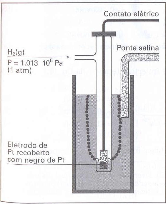 ELETRODO PADRÃO