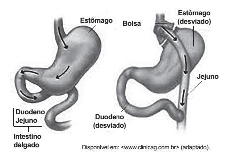 A pesquisa encomendada pelo Ministério da Saúde, prevista para terminar no final do ano, tem como objetivo estabelecer uma eficaz estratégia de combate à dengue. ERENO, Dinorah. Dengue no alvo.