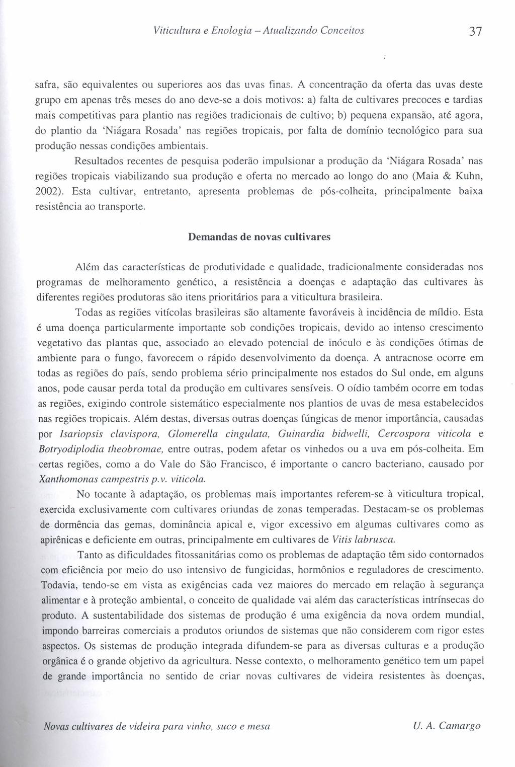 Viticultura e Enologia - Atualizando Conceitos 37 safra, são equivalentes ou superiores aos das uvas finas.