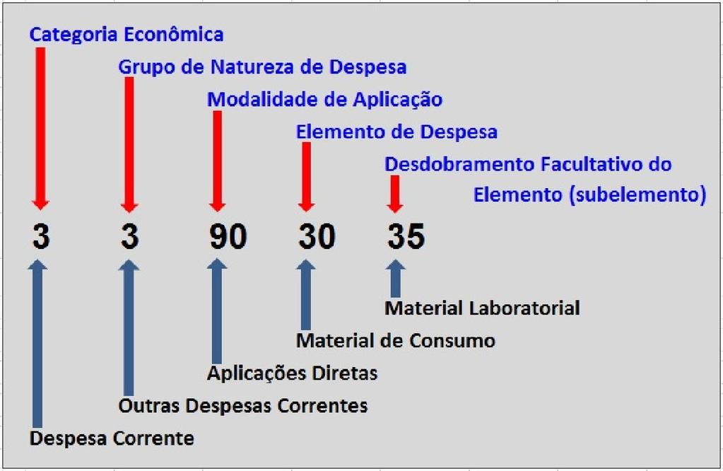 MINISTÉRIO DA EDUCAÇÃO Universidade Federal do Paraná NATUREZA DA DESPESA Os arts. 12 e 13 da Lei no 4.320, de 1964, tratam da classificação da despesa por categoria econômica e elementos.