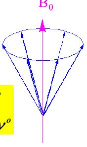 Relembrando: Orientação do spin nuclear num campo magnético E = γ B m ( h / 2 0 I π 1) Apenas alguns valores de I Z (= m I ħ) são permitidos, ou apenas