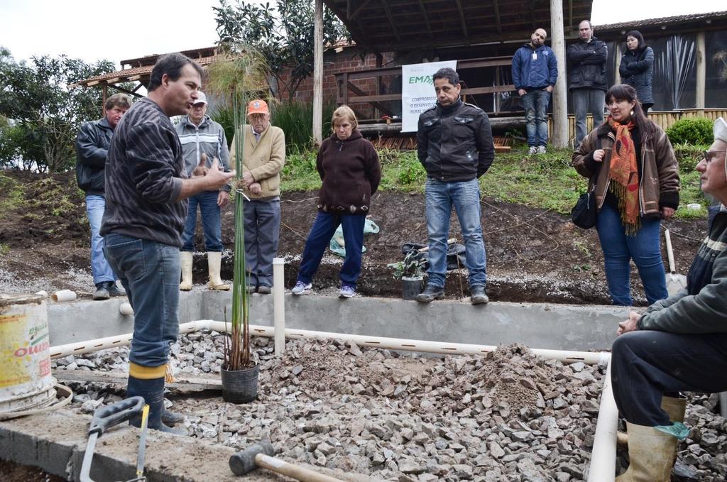 Tratamento por zonas de raízes Propriedade