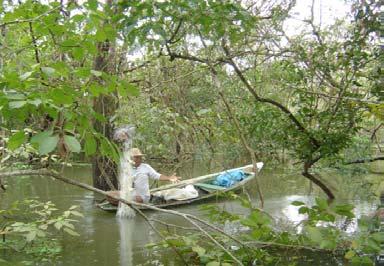 Este tipo de material de pesca é utilizado predominantemente pelos pescadores da pesca comercial, sendo amplamente acusado pelos pescadores do lugar como um dos grandes responsáveis pela diminuição