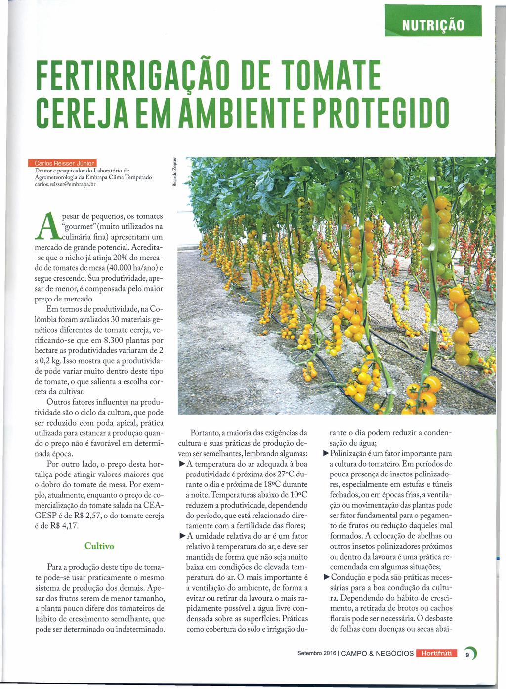 NUTRiÇÃO FERTIRRIGAÇÃO DE TOMATE CEREJA EM AMBIENTE PROTEGIDO Carls Heisser.Júnir Dutr e pesquisadr d Labratóri de Agrmeterlgia da Embrapa Clima Temperad carls.reisser@embrapa.