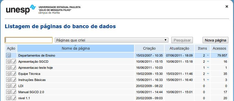 Após preencher e selecionar as opções, uma nova janela irá aparecer: Ao clicarmos no botão Nova Página como na figura acima, uma nova