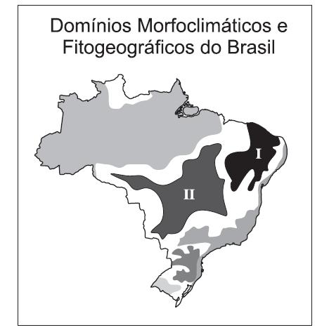 A análise do mapa e os conhecimentos sobre os domínios morfoclimáticos brasileiros permitem afirmar que os domínios I e II apresentam como característica comum A) a sazonalidade da drenagem