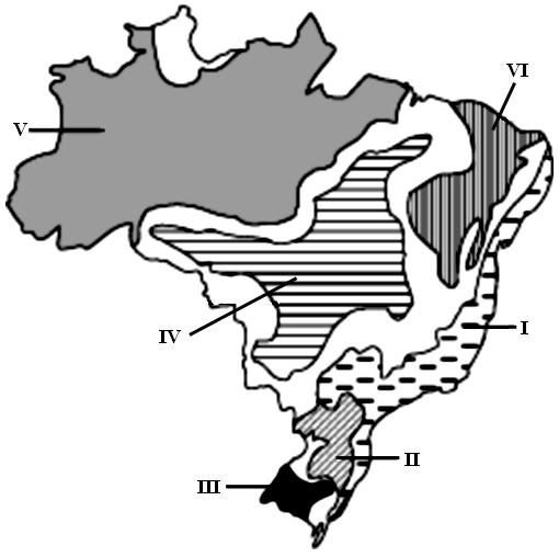 chapadões florestados dos planaltos interiores de São Paulo e norte do Paraná. Os domínios de natureza no Brasil Potencialidades Paisagísticas.