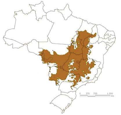 IV Faixas de Transição ( 4 no mapa ): áreas intermediárias que possuem características ambientais de dois ou mais domínios morforclimáticos, como é o caso do Pantanal mato-grossense.