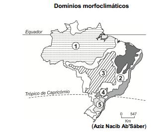 D) Araucária E) Mata Atlântica. 72) ( SENAC/2013.2 ) A questão está relacionada ao mapa e à paisagem vegetal abaixo.