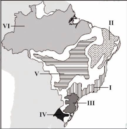 Figura 12: AB SÁBER, Aziz Nacib. Os Domínios de Natureza no Brasil: potencialidades paisagísticas. São Paulo: Ateliê Editorial, 2003. p.32-33.