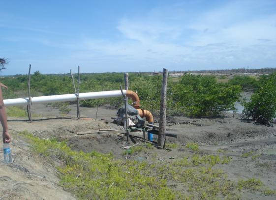 Figura 08: Bombas retirando água do manguezal  A impermeabilização do solo e a salinização do fluxo de água doce também ocorrem na área, segundo Meireles (2005) as fazendas