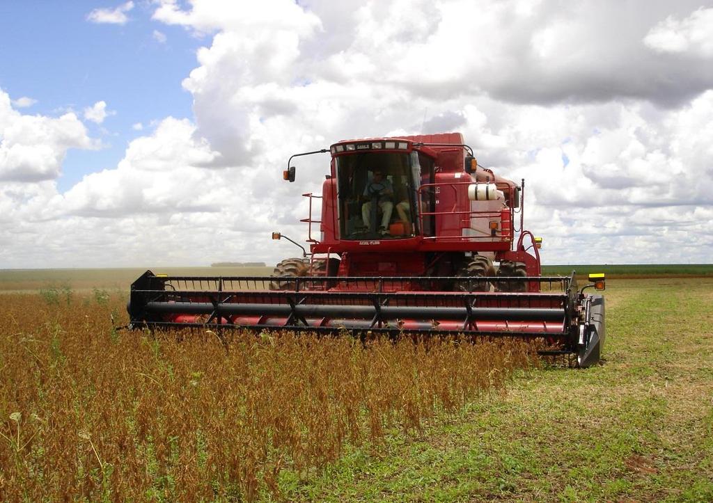 1. Fluxograma de produção Semeadura