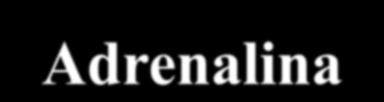 Receptor POTÊNCIA DOS AGONISTAS NOS RECEPTORES ADRENÉGICOS