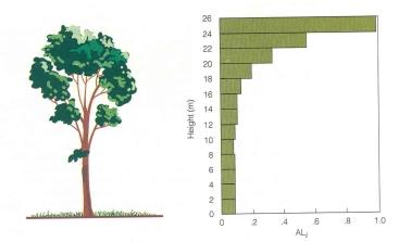 O meio físico Luz Índice de Área Foliar (IAF) A relação entre a área foliar e a quantidade de luz disponível (LD) é descrita pela lei de Beer LD i =e