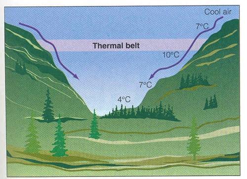 O mundo físico Clima Clima regional Clima da cidade comparado com o do campo elemento partículas de condensação mistura de gases cobertura de nuvens nevoeiros de inverno nevoeiros de verão